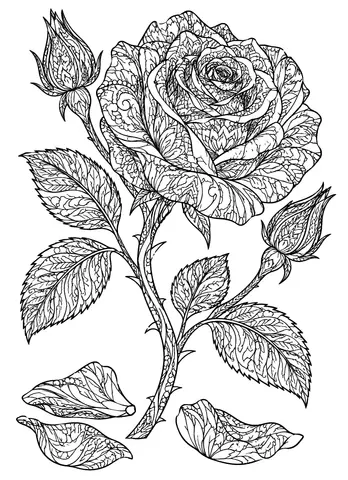 Page 7 of The Flower Pattern Garden
