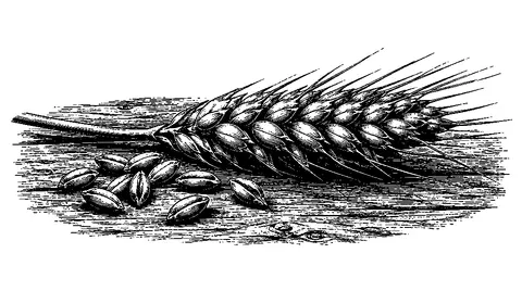 An illustration from Miracle Money from Heaven