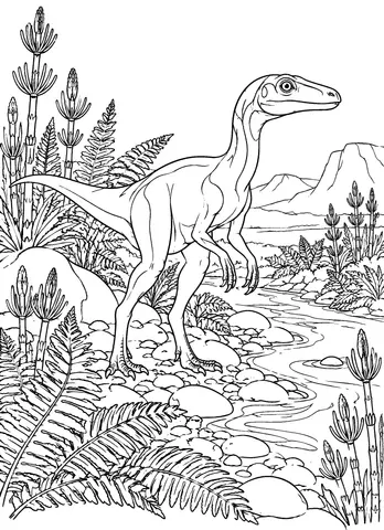Page 7 of Fernbeds and Footprints