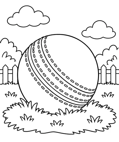 Cricket Ball Colour the ball and its curved seam.