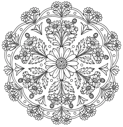 Page 11 of Symmetry in Bloom