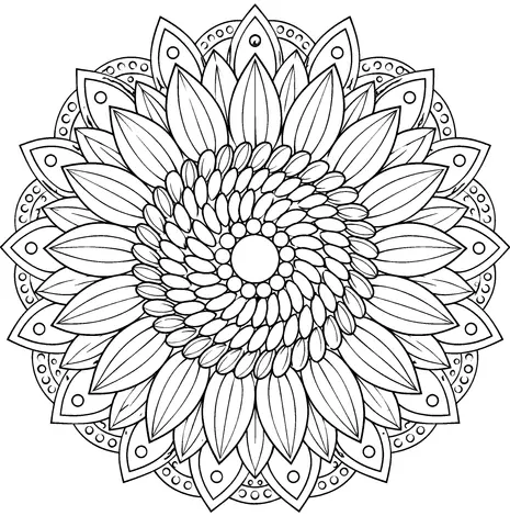 Page 9 of Symmetry in Bloom