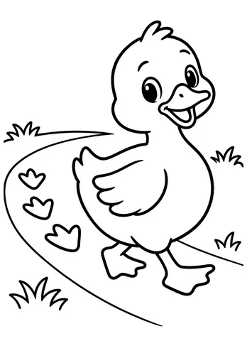 Page 9 of Ducks at the Pond