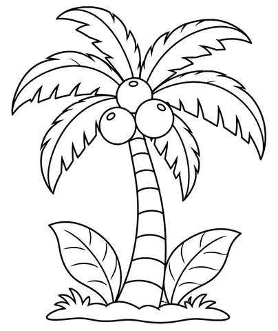 Palme voller Früchte Male die Palme und ihre runden Früchte aus.