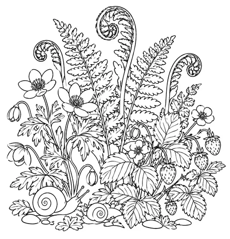 Page 9 of Au creux des bois