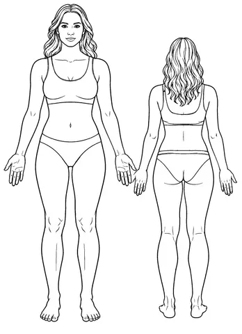 Page 7 of The Complete Human Anatomy Coloring Book