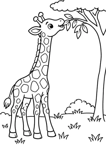 Page 11 of My Amazing Animal Adventure!