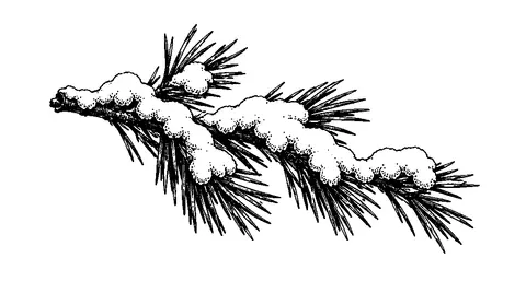 An illustration from Little Bear and Bright Bear