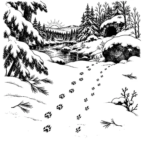 An illustration from Little Bear and Bright Bear